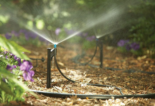 6 Tips para optimizar el uso del agua en el jardín