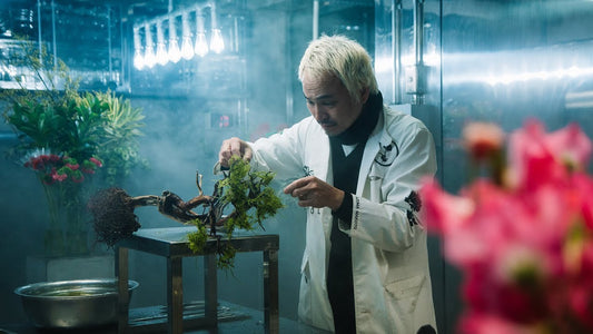 Educando a través del arte botánico