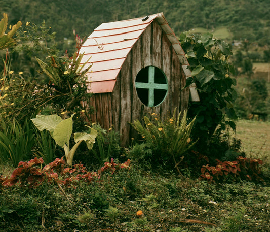 Tips para mini jardines