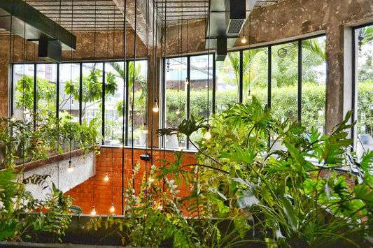 5 Tips para un Jardín en Departamento