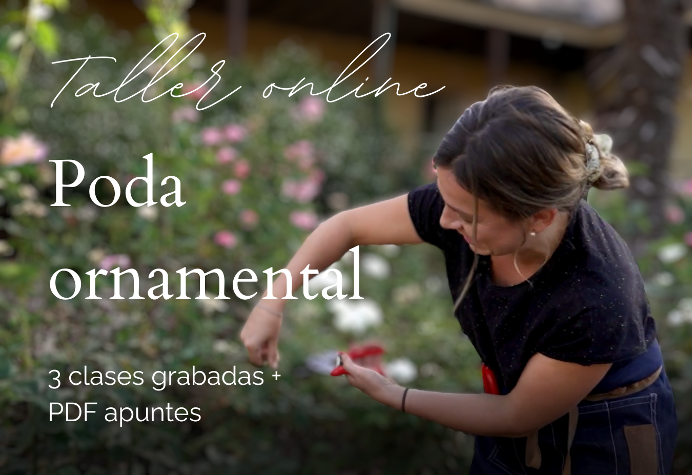 Taller Poda Ornamental