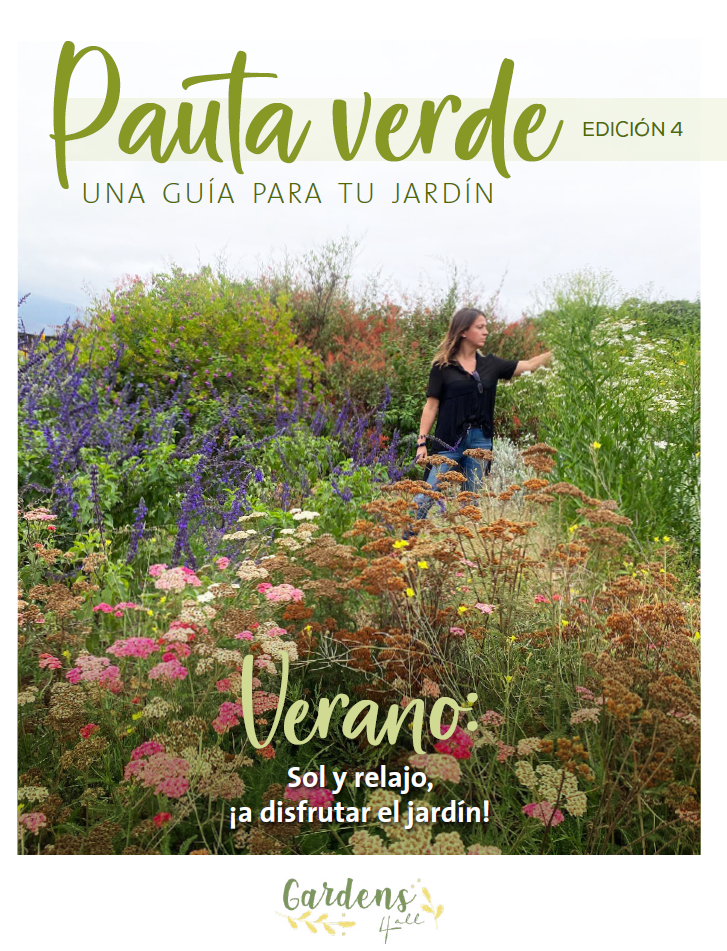 Pauta Verde Verano