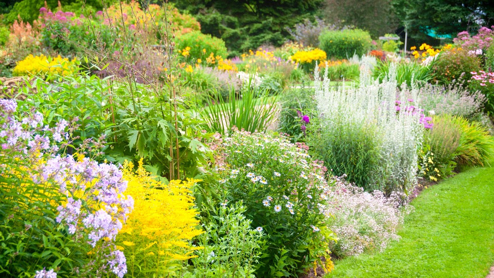 Qué es un Cottage Garden y por qué debiéramos aplicar algunos de sus principios