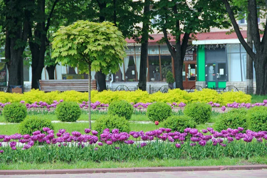 Bandejones, veredas, platabandas... ¡una oportunidad para los jardineros y la ciudad!