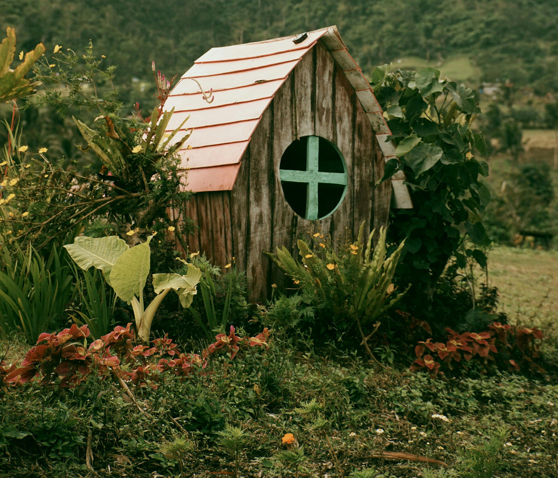 Tips para mini jardines