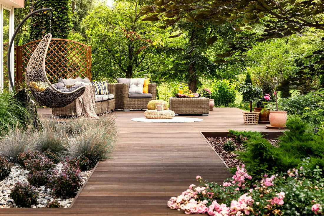 Plantas todo terreno para terrazas y balcones