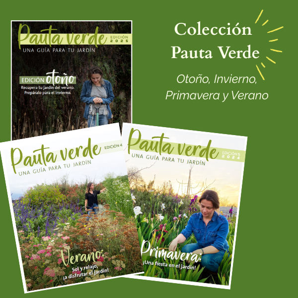 FOTODiseño