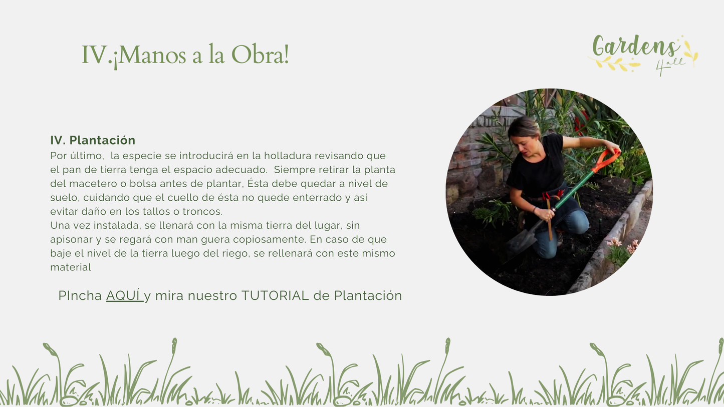 FOTODiseño